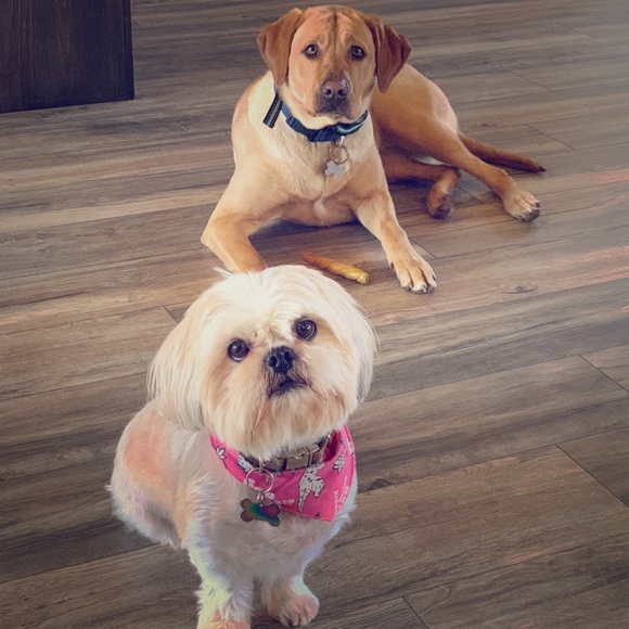 Hello! I’m Helen :) Like ♥️ this post to find my closet for future poshing! - Picture 6 of 13